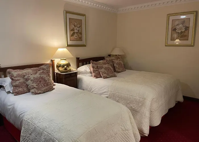 게스트하우스 Foley's Townhouse